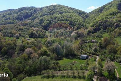 Teren de 2000 mp, în Copalnic - 1