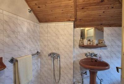 Casa Saftica/Balotesti - 8