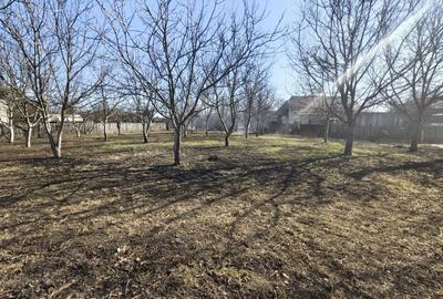 Spațiu comercial, în Mărginenii de Sus - 4