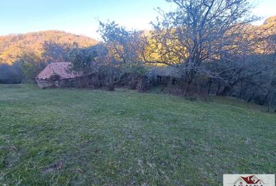 Vanzare casa cu 17.399 mp teren in Vintu de Jos - Valea Vintului - 1