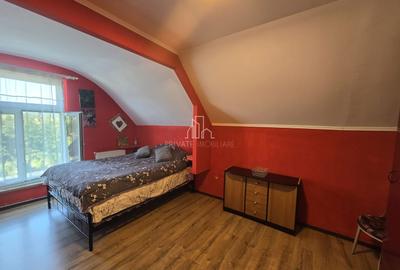 Casa cu piscina, 3450 Mp suprafata teren, Albesti, Mures - 6