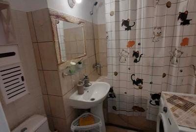 Apartament cu 1 camera, PET FRIENDLY, zona Tatarasi - 6