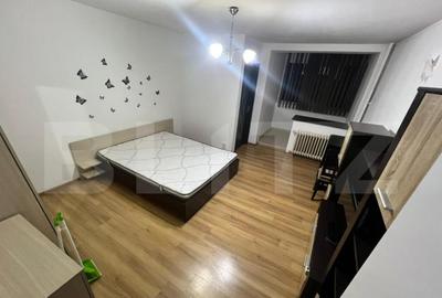 Garsonieră semidecomandată în Brazda lui Novac - 1