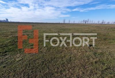 Teren intravilan 665 mp cu Puz aprobat - Padureni - 5