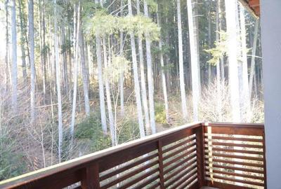 Garsoniera speciala situata in Predeal,Partia Clabucet . - 3