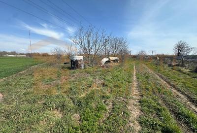 Teren Construcții extravilan de 18000 mp, în Valu lui Traian - 12