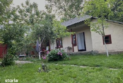 Teren de 1500 mp, în Oinacu - 1