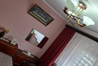 Apartament cu 2 camere semidecomandat în Prundu - 13