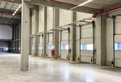 Hală industrială de închiriat, 2.900 mp, Arad - 1