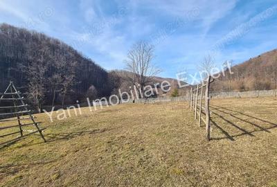 Teren de 4681 mp, în Bărăști - 6