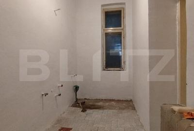 Casa istorica, 2 apartamnte, curte proprie- posibilitati multiple, zona Balcescu - 14