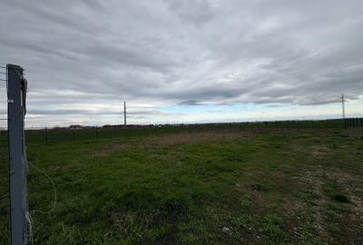 Teren de vânzare în Golești – 3 loturi a câte 530 mp - 2