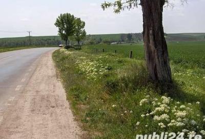 Teren de 45000 mp, în Central - 4