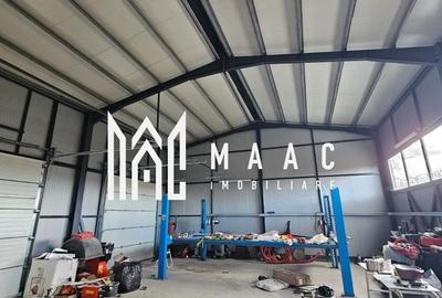 Hala 190 mp | Calea Bucuresti | Investitie - 4