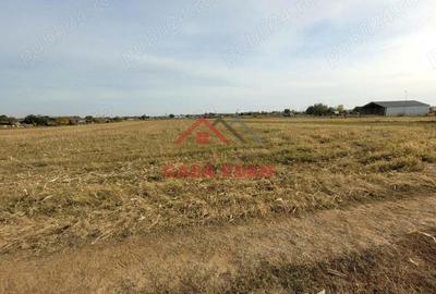 Teren intravilan in Baicoi zona targului--10.000mp--5e - 7