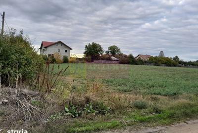 Teren de 2062 mp, în Manasia - 6