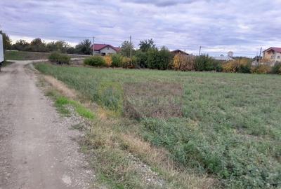 COSERENI( il ) - TEREN 2K MP DE VANZARE (52 M DESCHIDERE ... - 3