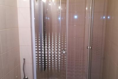 Garsonieră decomandată în Costin Georgian - 8