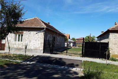 Casă cu teren generos de 1057 mp ? Ghiroda, zona centrală Casă cu teren generos de 1057 mp ? Ghiroda, zona centrală - 6