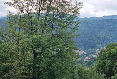 Apartament cu 3 camere decomandat, mobilat în Drumul Poienii - 30