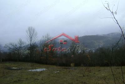 Teren de 2656 mp, în Drăgăneasa - 1