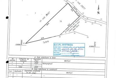 Teren Construcții intravilan de 2500 mp, în Viișoara - 12