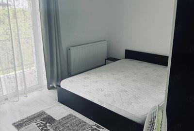 Garsonieră decomandată în Ciarda Roșie - 10