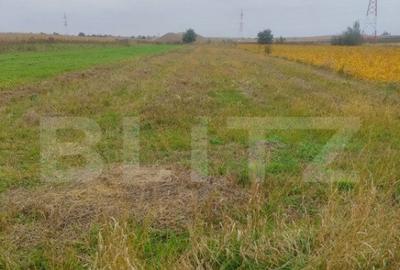 Teren de 2600 mp, în Rădăuți - 1