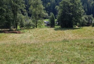 Vand teren 7800mp din care 3000 intravilan si 3800 mp padure - 5