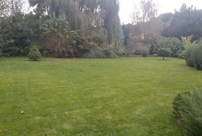 Proprietate impresionanta in apropierea Padurii Baneasa  -  Iancu Nicolae - 5