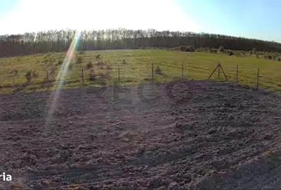 Teren de 500 mp, în Nojorid