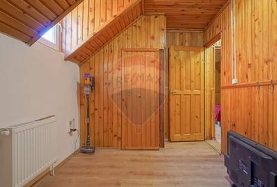 Casa falnica, curte individuala, langa Piata Unirii, in inima Scheilor - 24