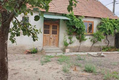 Casă cu 2 camere în Central - 1