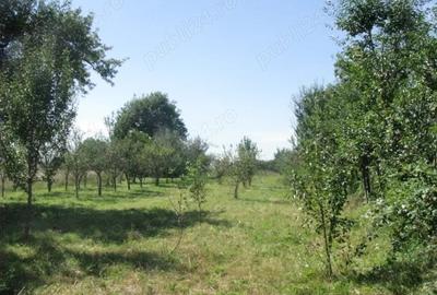 Teren de 4400 mp, în Prejmer - 4