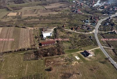 Teren intravilan de 6650 mp, în Berchez - 3