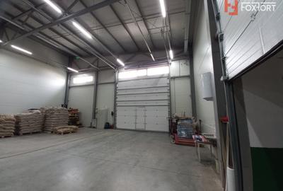 Spațiu industrial, de 572 mp, în Freidorf - 4