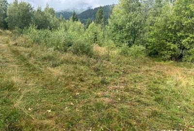 Teren de 608 mp, în Băișoara - 4