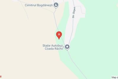 Teren agricol extravilan de 25000 mp, în Horlești - 1