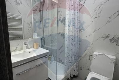 Studio de închiriat în brazdă - 5