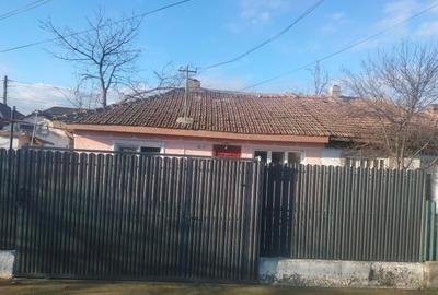 Vind casă bătrânească renovabilă - 1