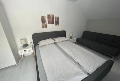 Casă cu 7 camere cu Canalizare în Valea Alba - 13