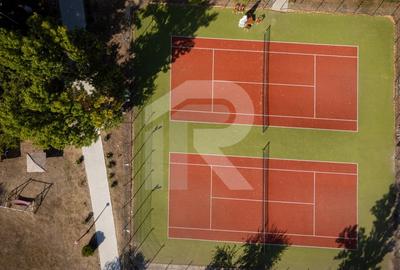 MAMAIA – COMPLEX HOTELIER 300 CAMERE - MERCUR - MINERVA, 18.000 MPC! - 6