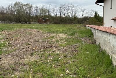 Spațiu comercial, în Paleu - 1