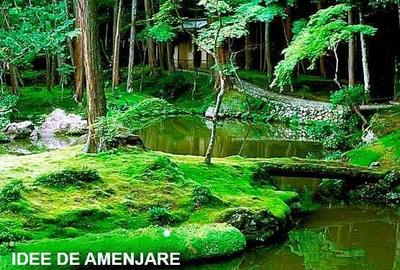 Teren de 2047 mp, în Breaza de Sus - 2