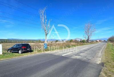 Teren intravilan strada Narciselor - 7