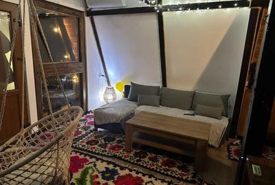 Casă cu 2 camere în Iapa - 5