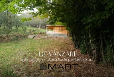 Teren intravilan + cabana 920mp in Cisnadioara - 6