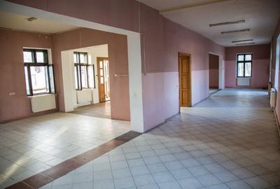 Vand CONAC cu istoric, sec XIX, renovat si evaluat in primele 10 din Romania, granita Varsand - 3