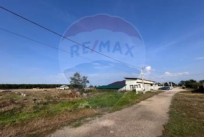 Teren intravilan 2,700mp Miersig / Husasau de Tinca - 3