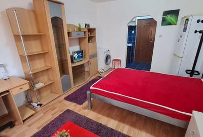 Garsoniera Spatioasa zona Blascovici - 7